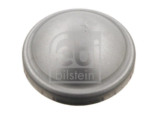 Cap, wheel bearing